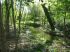 2007 04 21 Paris 133 .jpg